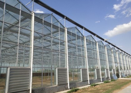 陽光板溫室