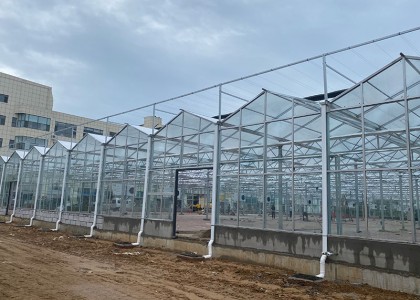 陽光板溫室