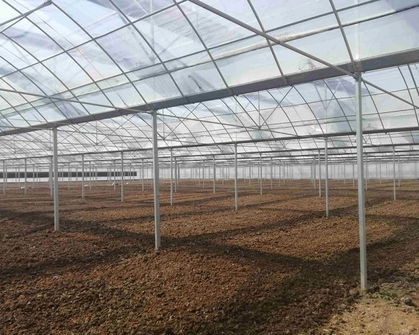 連棟溫室大棚建設