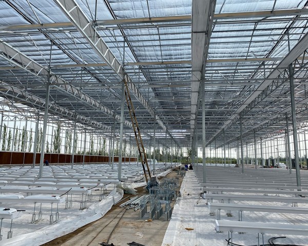 玻璃溫室大棚工程