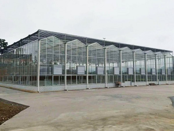 陽光板溫室